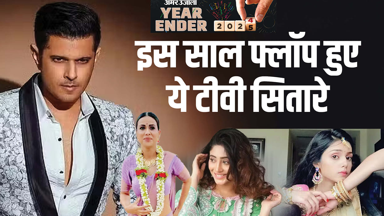 Year Ender 2024 These Tv Celebs comeback Became Flop Nia Sharma Mallika Singh Neil Bhatt Shivangi Joshi