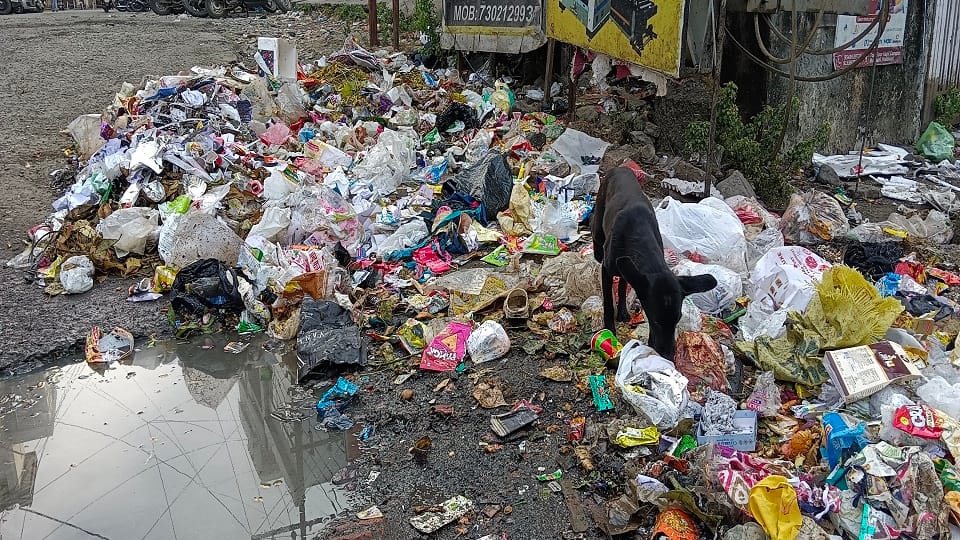 People are troubled by the pile of garbage in Haldwani city