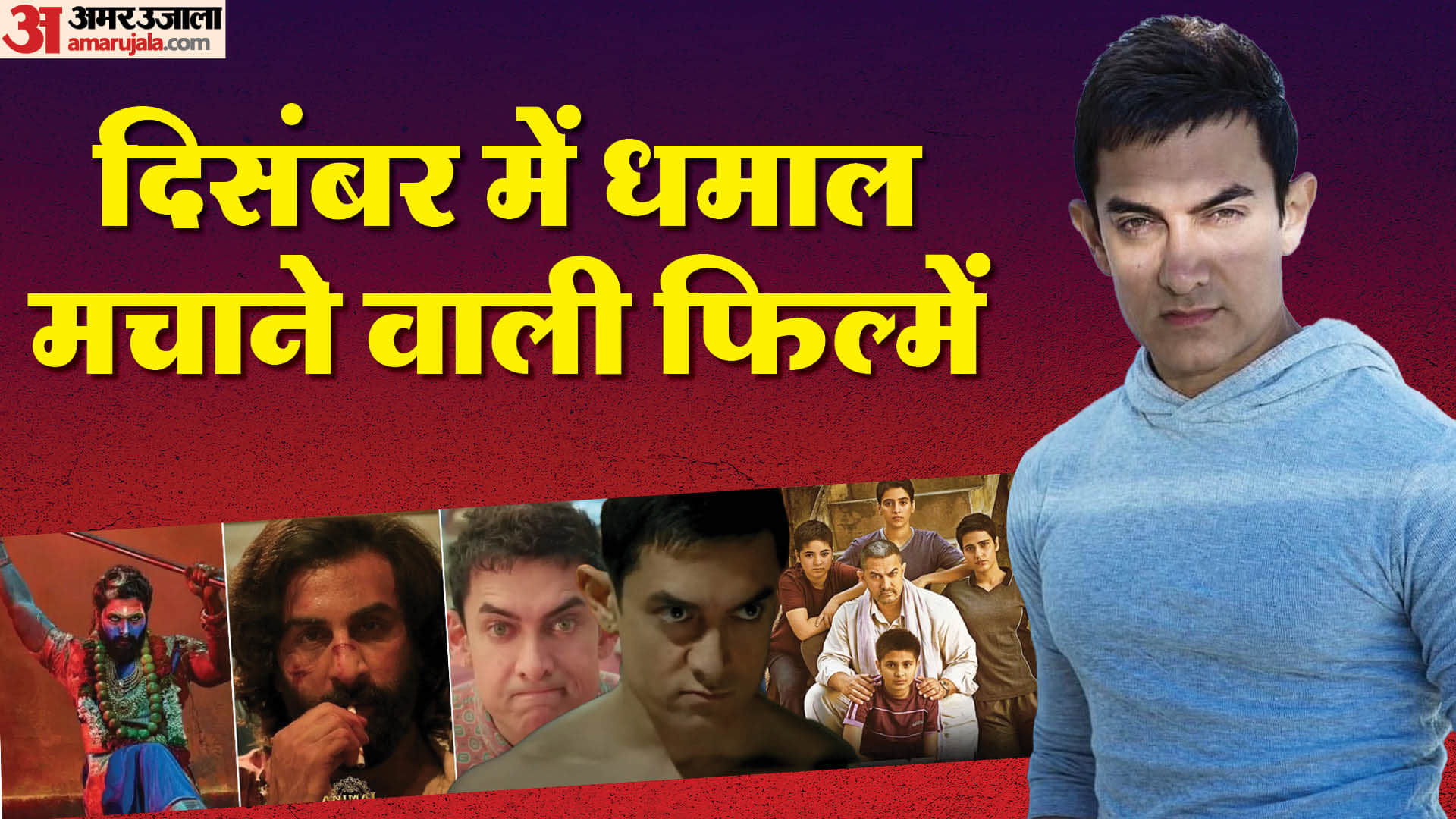 Movies Released in December Created History Pushpa 2 Animal PK Three Idiots