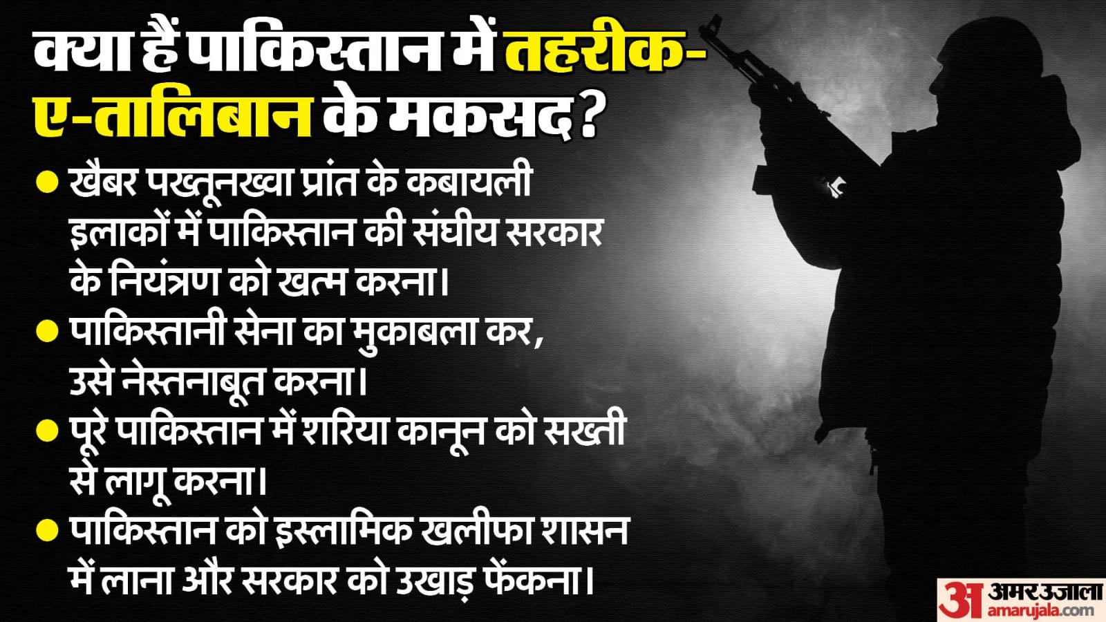 तहरीक-ए-तालिबान पाकिस्तान।