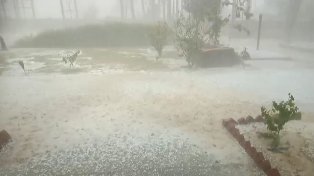 Haryana Rain in Hisar narnaul weather update