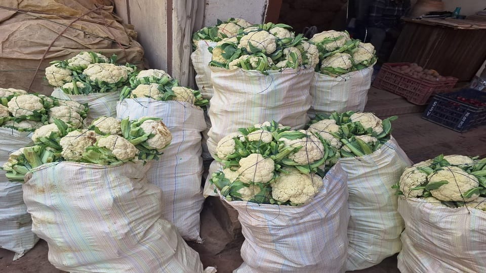 Vegetables became cheaper: Peas priced at Rs 12 and cabbage rate less than Rs 5 per kg relief to people
