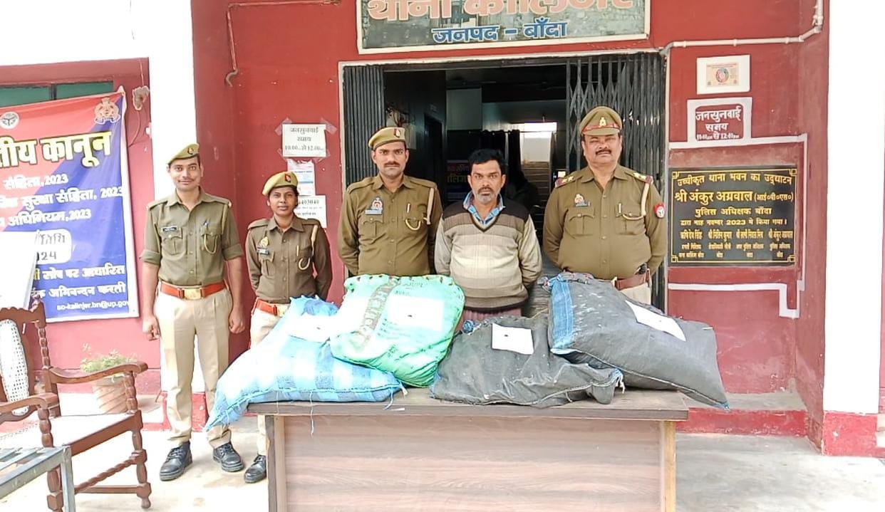 A youth was caught cultivating ganja in his house 14 kg of green ganja was recovered action under NDPS Act