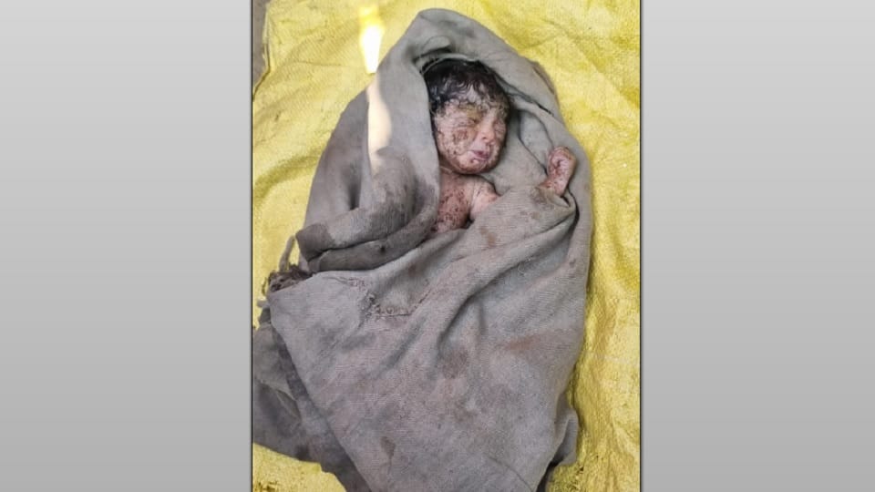 Meerut: One day old newborn found lying in the field, heart trembled after seeing the naked girl in the cold