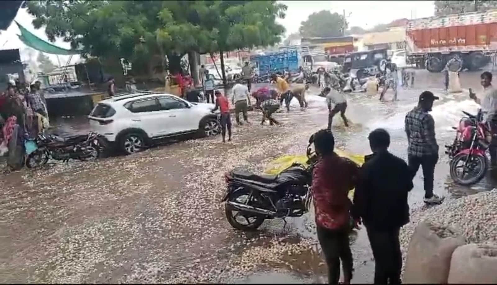 Mandsaur: Heavy rain in Mandsaur-Neemuch-Ratlam, hail fell in Garoth, garlic washed away in rain water in Mand