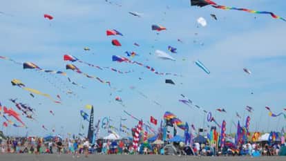 Jalore News If you are also fond of kite flying then be careful this order was issued on Makar Sankranti