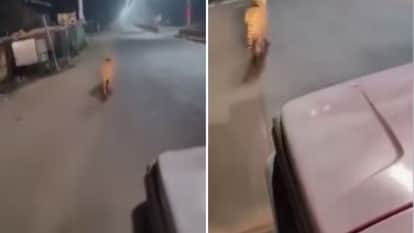 वायरल वीडियो से निकाली गई फोटो।