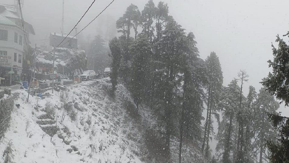 Uttarakhand Weather: Rain continues in many districts of Uttarakhand