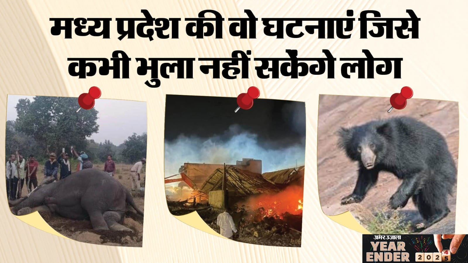 From Harda factory explosion to the death of 10 elephants, these were the events in MP