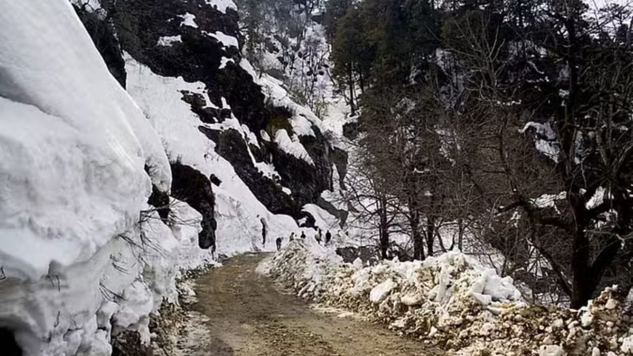 Himachal News Jalori tunnel will be built from Bhargol to Shoja