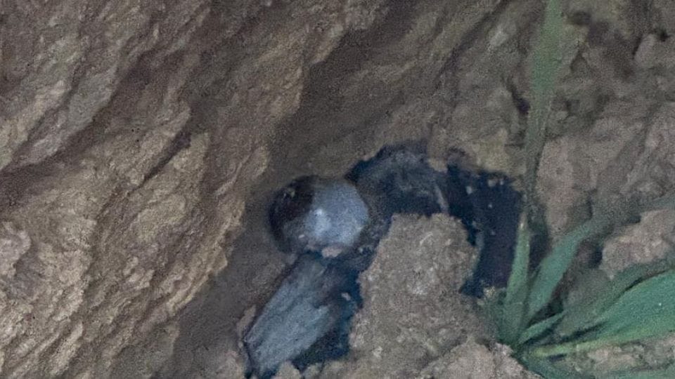 Shivling found in a field in Ghaziabad