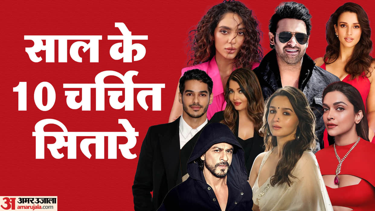 Year Ender 2024 Famous Stars This Year Tripti Dimri Deepika Padukone Shahrukh Khan Alia Bhatt