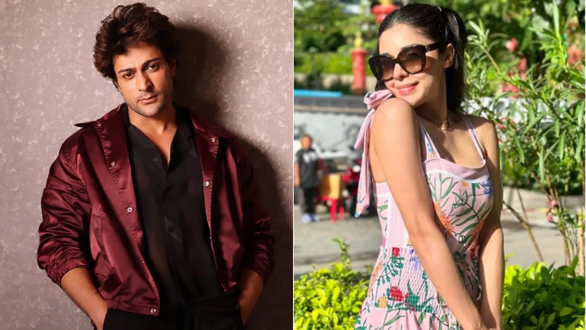 Bigg Boss 18 Top 10 Controversies Chahat Pandey on Avinash Mishra Eisha Singh Shalin Bhanot Connection