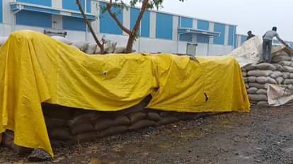 Mad jackal attack in Tikamgarh city