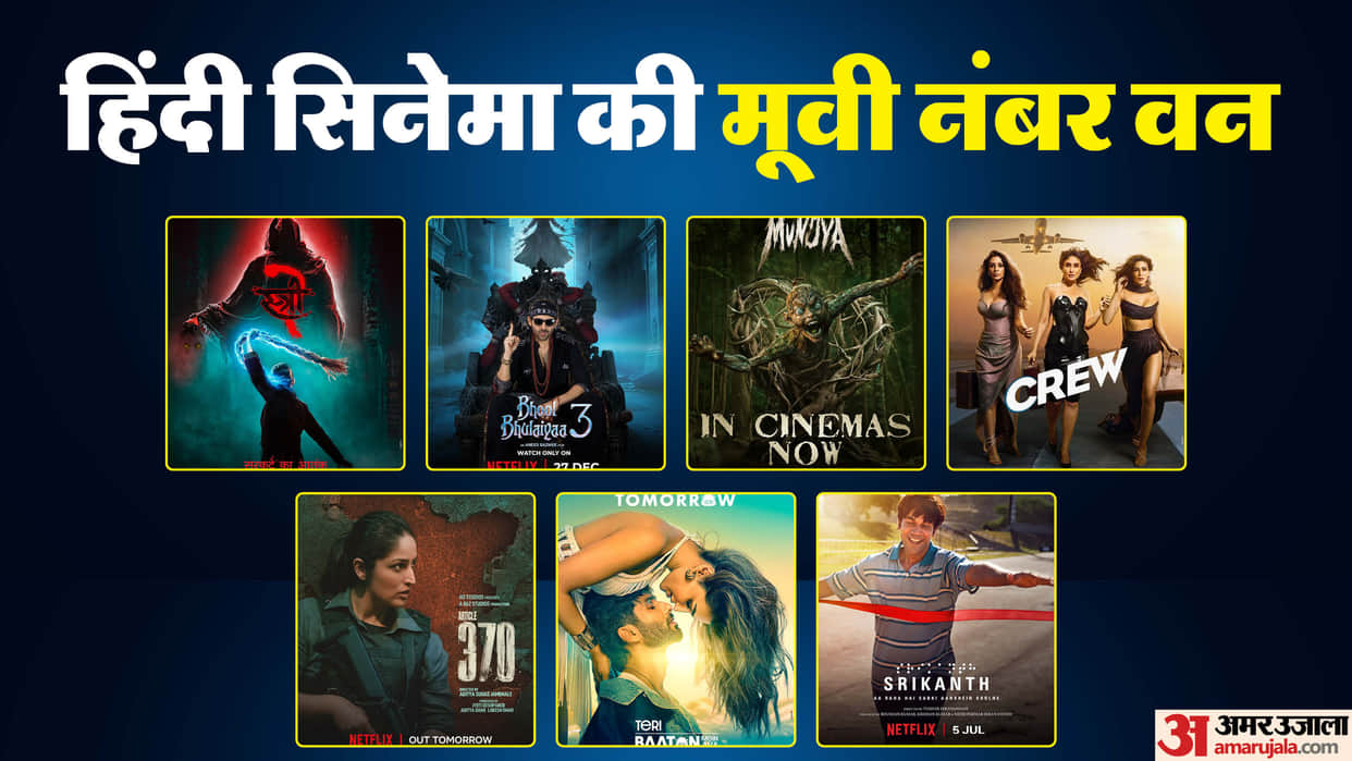 Final Box Office Collection 2024 of hindi movies shows only seven films in profit after life time figures