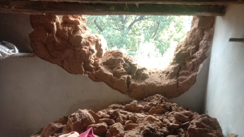 A villager died after being hit by an elephant three houses were damaged in Balrampur Ramanujganj