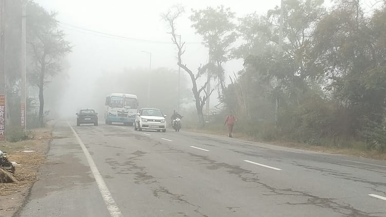 Haryana: तीन जनवरी तक पड़ेगी कड़ाके की सर्दी और कोहरा, बारिश-ओलावृष्टि के बाद अब पश्चिम विक्षोभ का असर खत्म