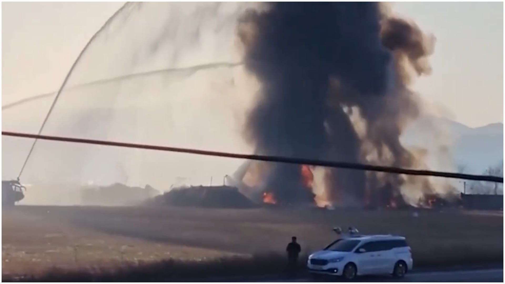 Bird hit landing gear malfunction or something else...; What is real reason behind the South Korea plane crash