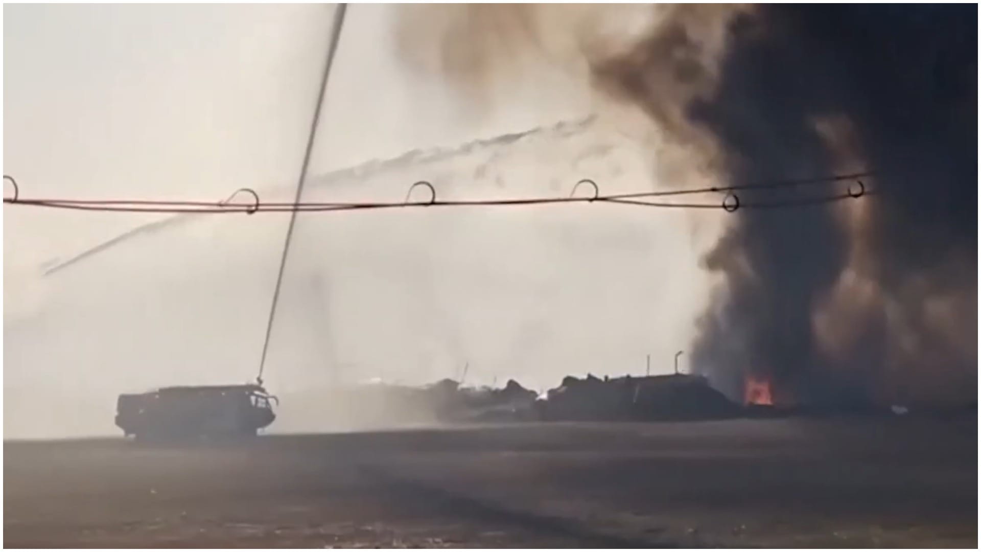 Bird hit landing gear malfunction or something else...; What is real reason behind the South Korea plane crash