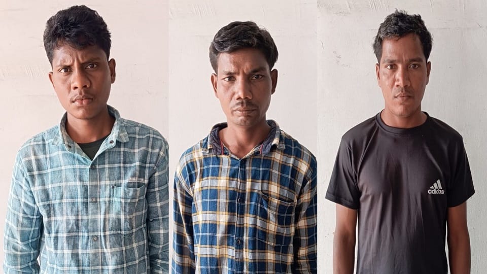 Three Naxalites including one with a bounty of Rs 1 lakh involved in several incidents including attack on CRP
