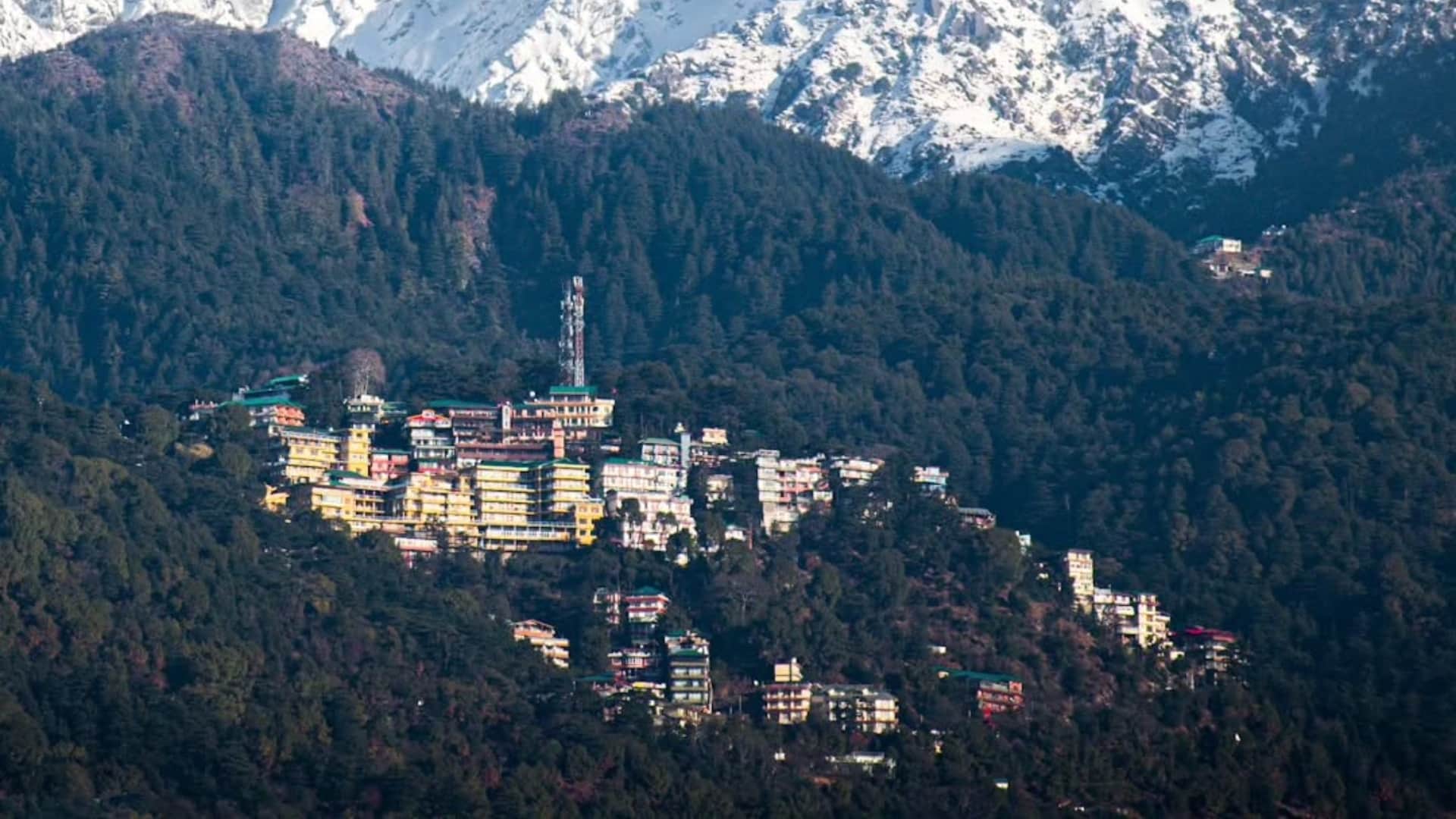 New Year 2025 Places to Go for New Years Weekend Check Locations Full Details