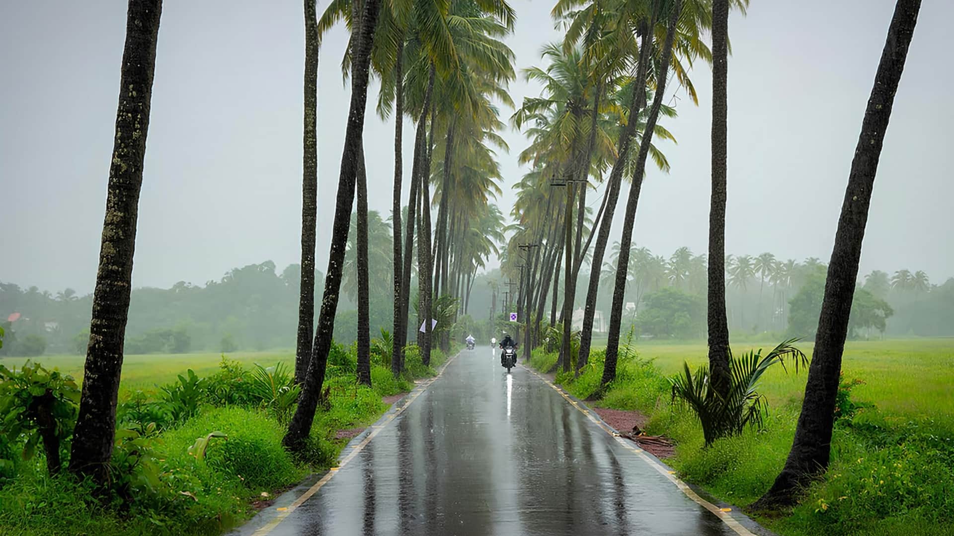 New Year 2025 Places to Go for New Years Weekend Check Locations Full Details