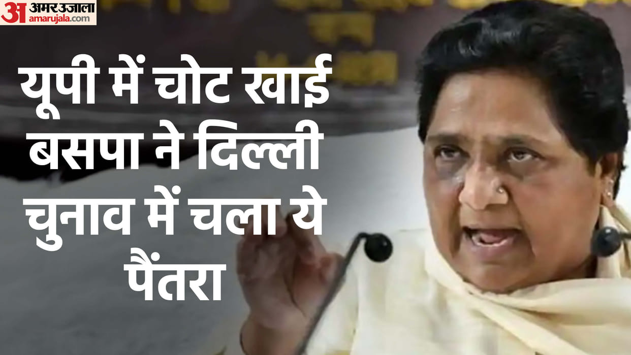 UP: BSP will be seen fighting Delhi elections with a changed strategy, Akash Anand made this plan for victory