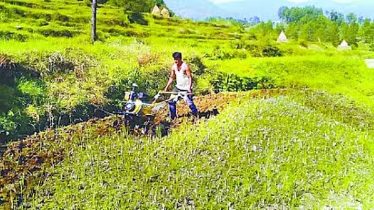 Chhattisgarh: छत्तीसगढ़ में अब तक 1.39 लाख मीट्रिक टन खाद वितरित; 19.25 लाख हेक्टेयर में बोआई  का टारगेट