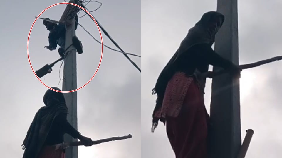 Chandausi: Woman climbed the pole and threatened the lineman, unique video of electricity dispute goes viral