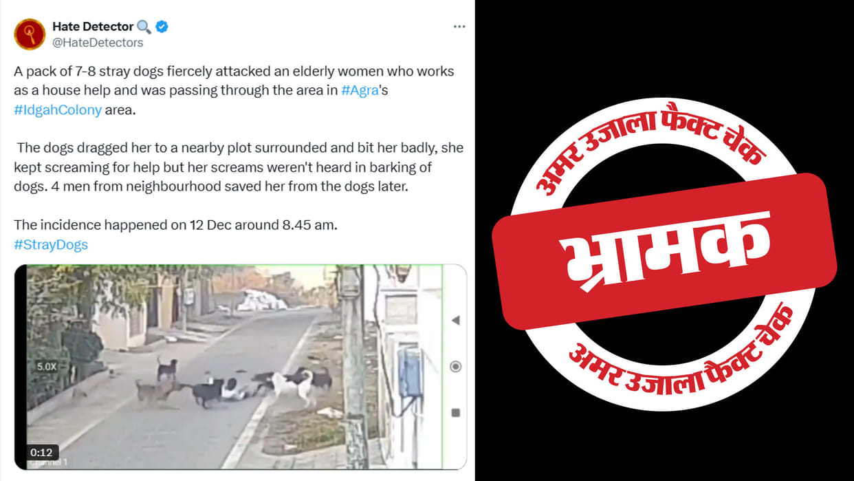 stray dog attacking elderly woman in Jalandhar falsely claimed from Agra