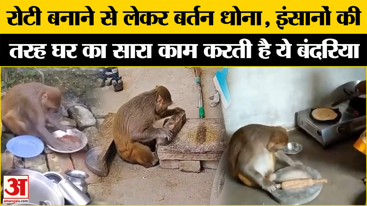 भारत समाचार