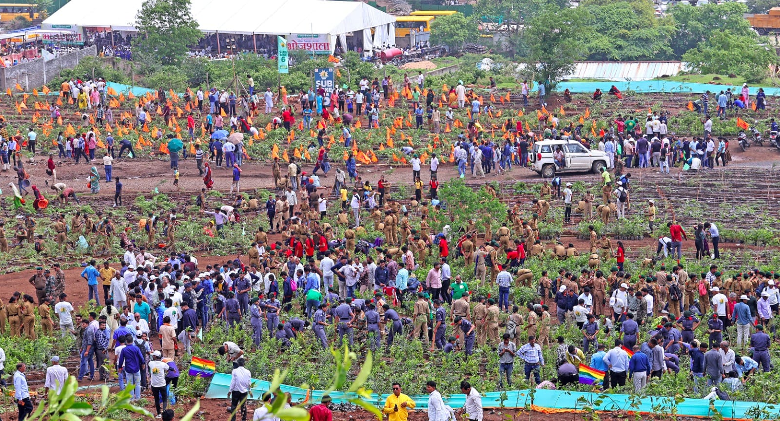 Year Ender 2024: Indore has a record of being the best in plantation and cleanliness