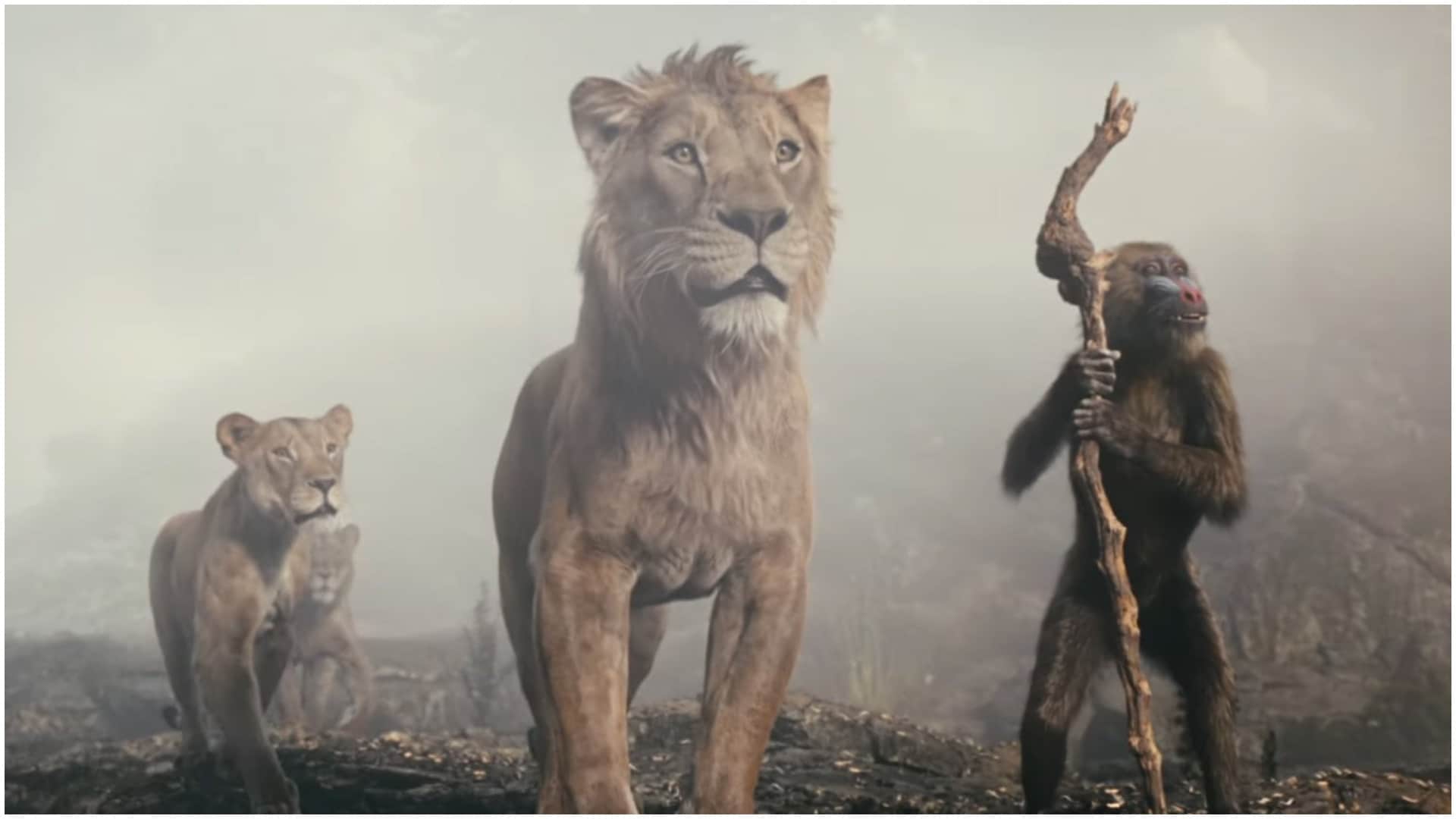 Mufasa Box Office Collection Day 11 surpasses 100 crore collection in indian languages