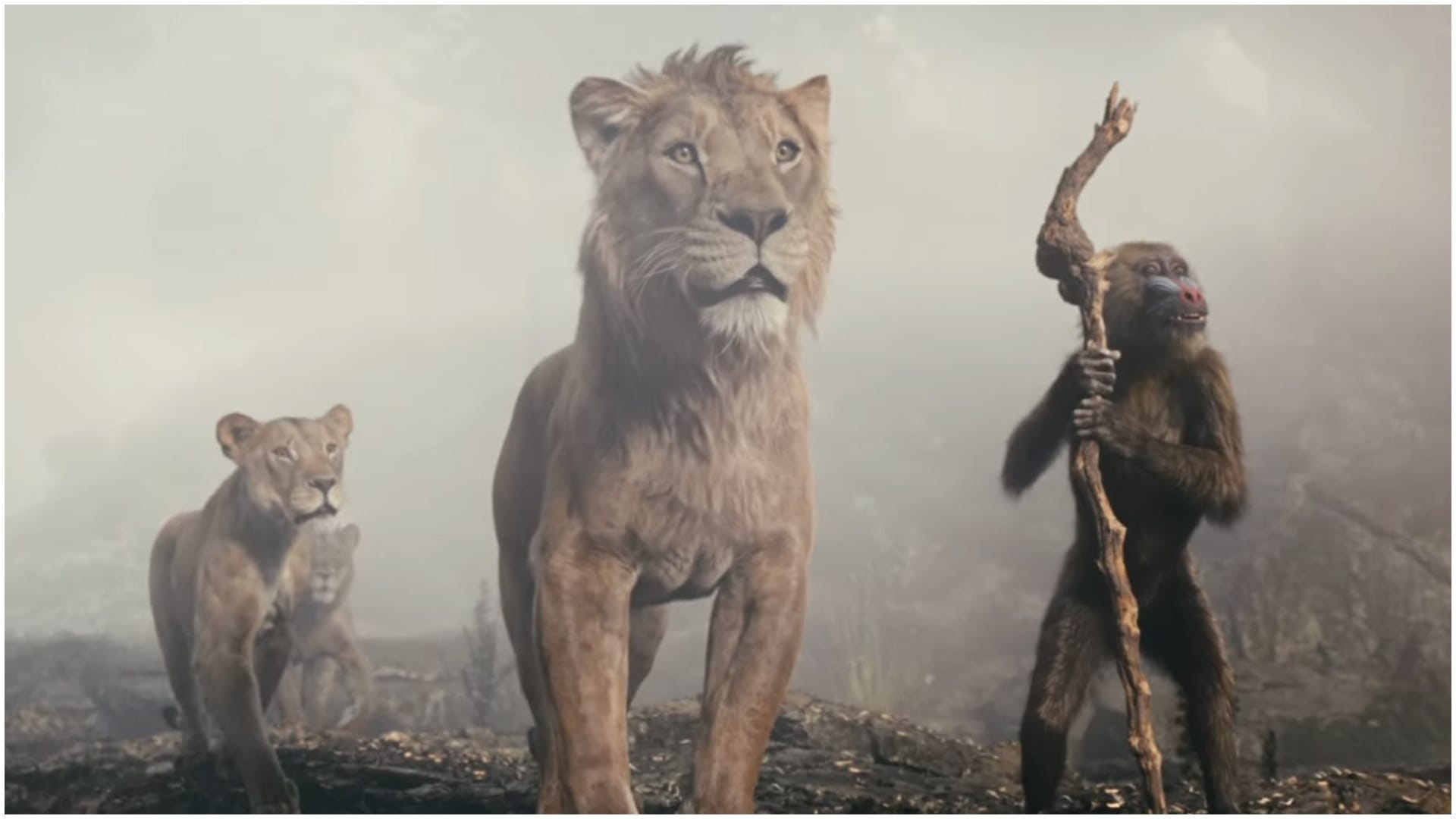 Mufasa the lion king box office collection crossed 100 cr because of shah rukh khan abram aryan khan dubbing