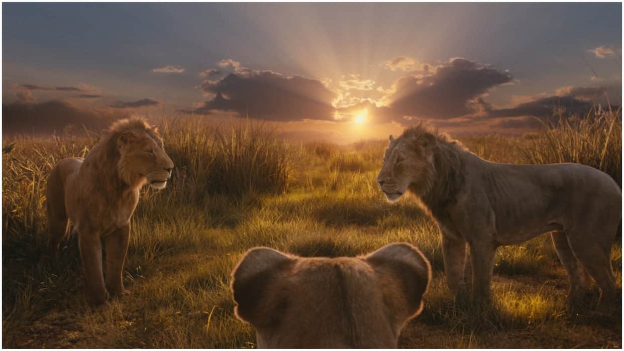 Mufasa Box Office Collection Day 20 Know Shah Rukh Khan Abram Khan Mahesh Babu Dubbing Film Earning