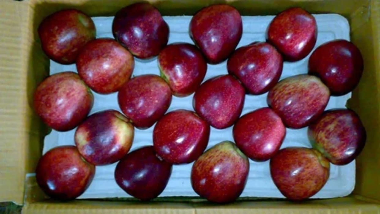 Delhi is hit by inflation: Apple prices cross Rs 200, buying pomegranates is also out of reach