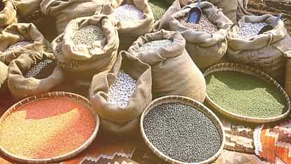 Himachal News 1.60 lakh quintals of pulses reached the godowns quota for two months will be available