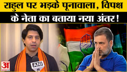 Shehzad Poonawalla: What did this BJP leader say about Rahul Gandhi? Amar Ujala | BJP | Congress |