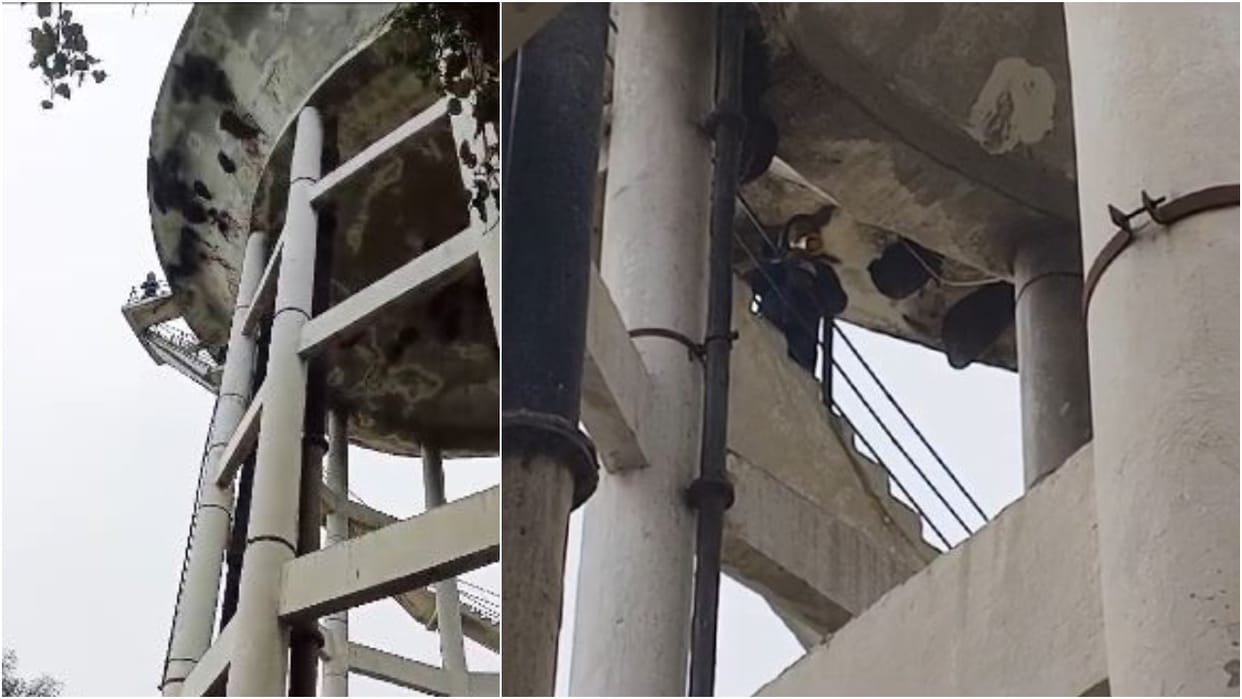 Lawyer climbed on water tank when illegal occupation was not removed