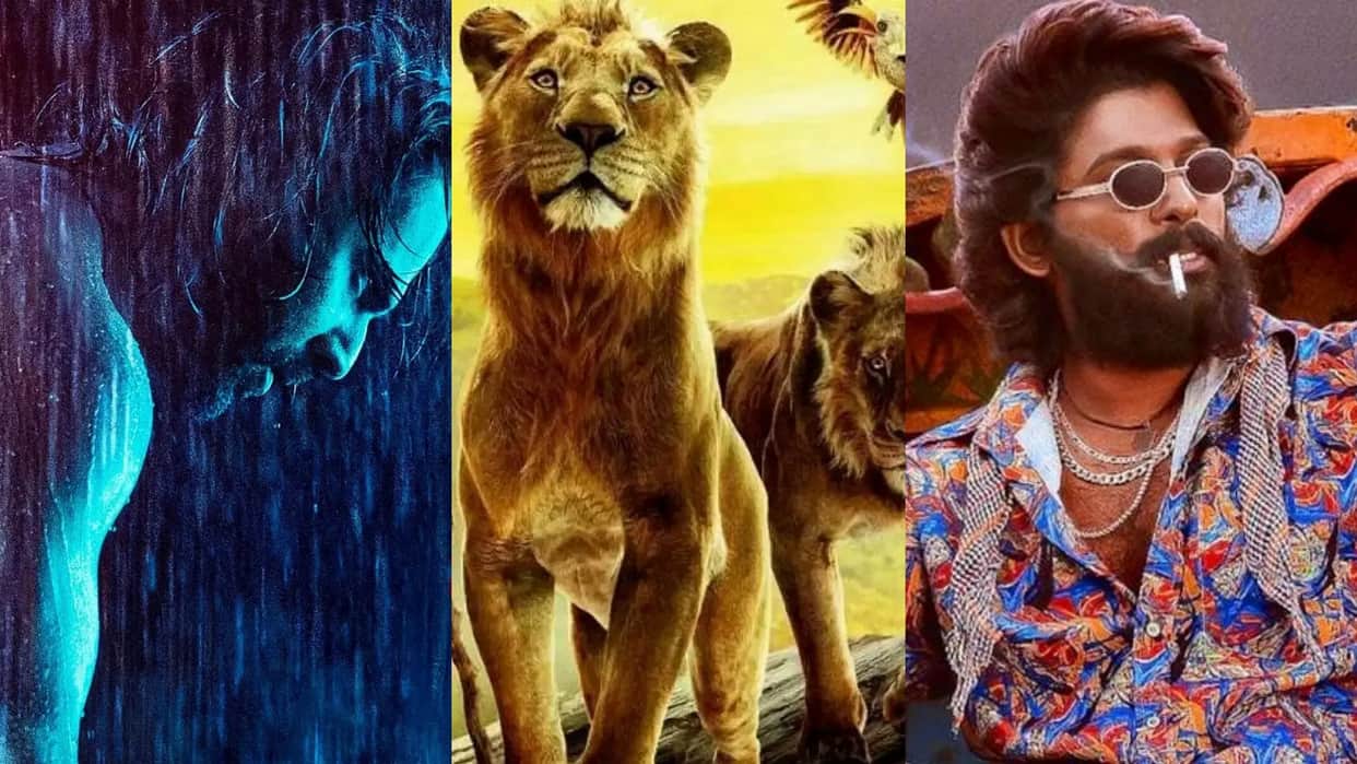 Box Office Collection Report Monday Pushpa 2 The Rule Mufasa The Lion King Baby John total Earnings
