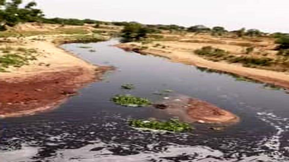 Green belt will be built on both sides of Karban river