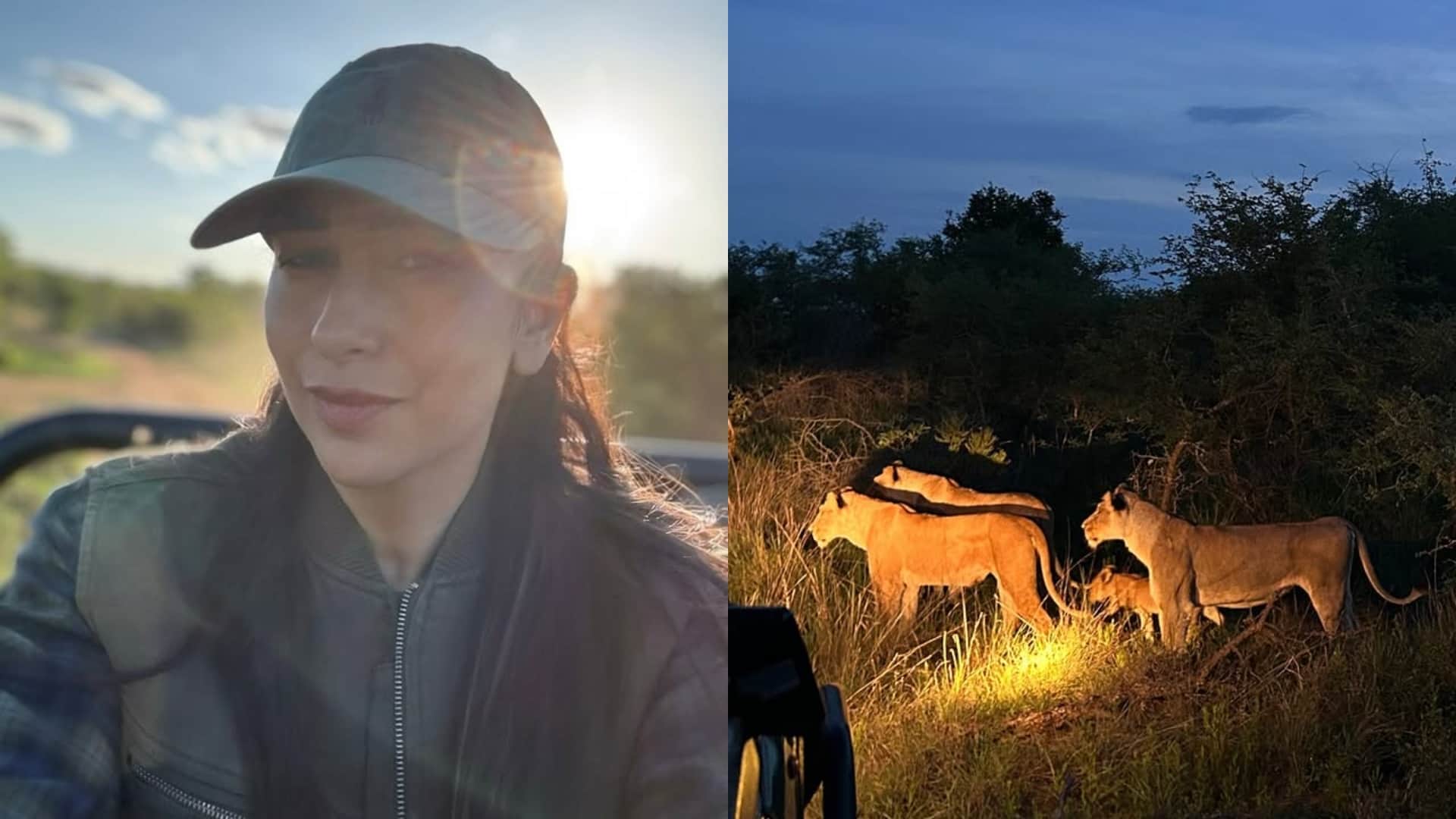Actress Karisma Kapoor Jungle Safari Picture Share In Social Media Write Gratitude Message