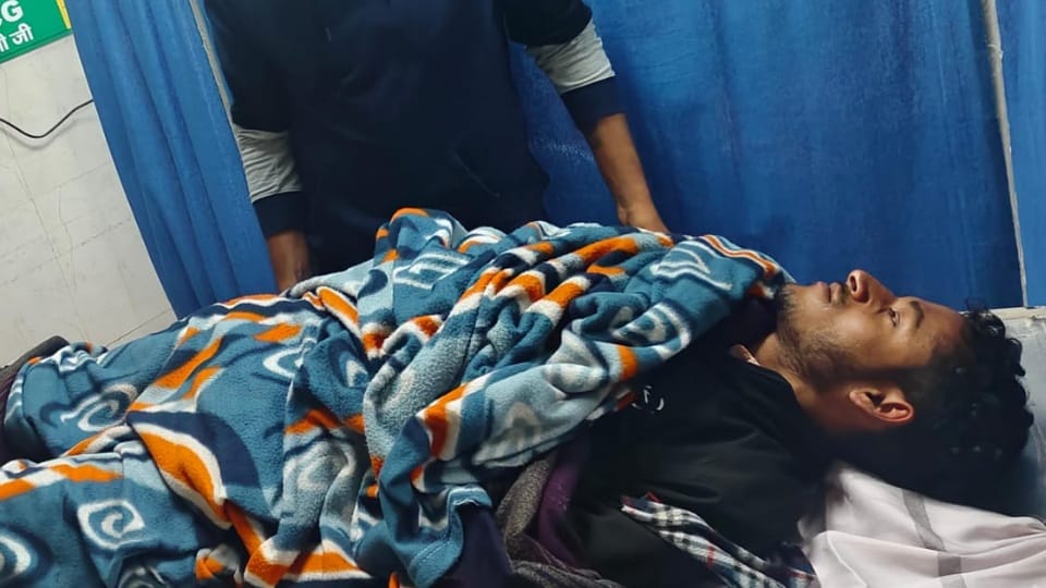 Dogs scratched young man in Ambala four Rottweilers attacked him
