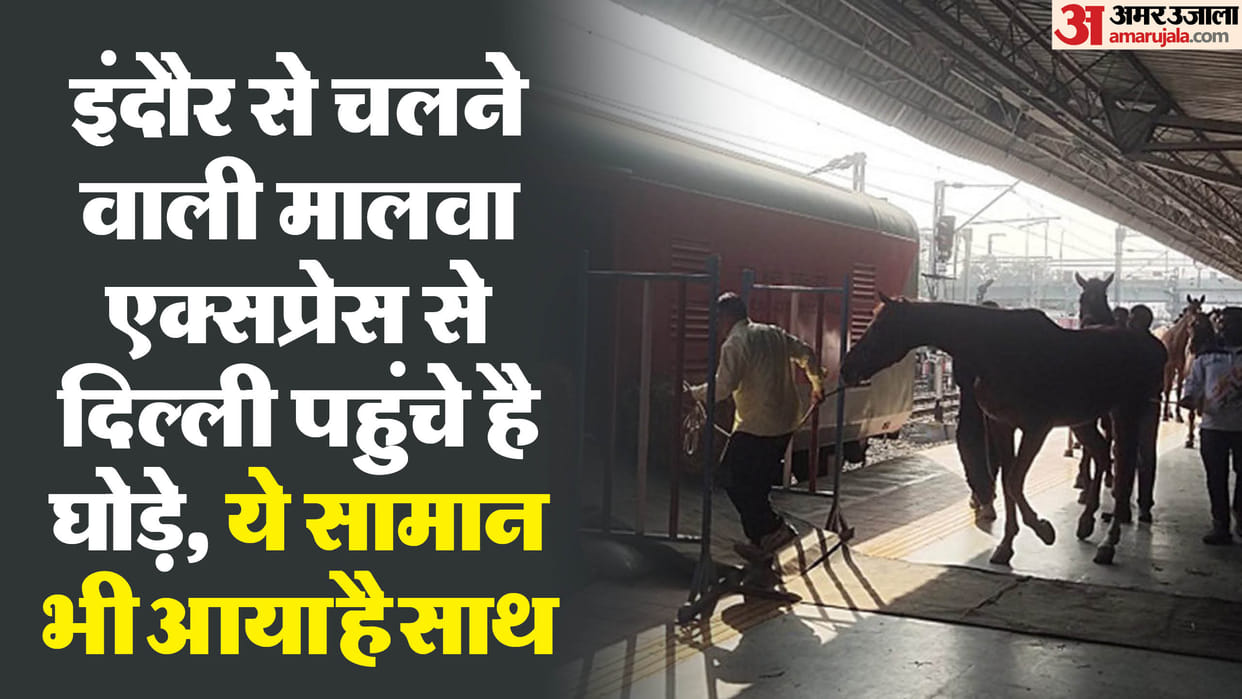 Passengers were surprised to see horses at station in Indore, that's why they were being brought to Delhi