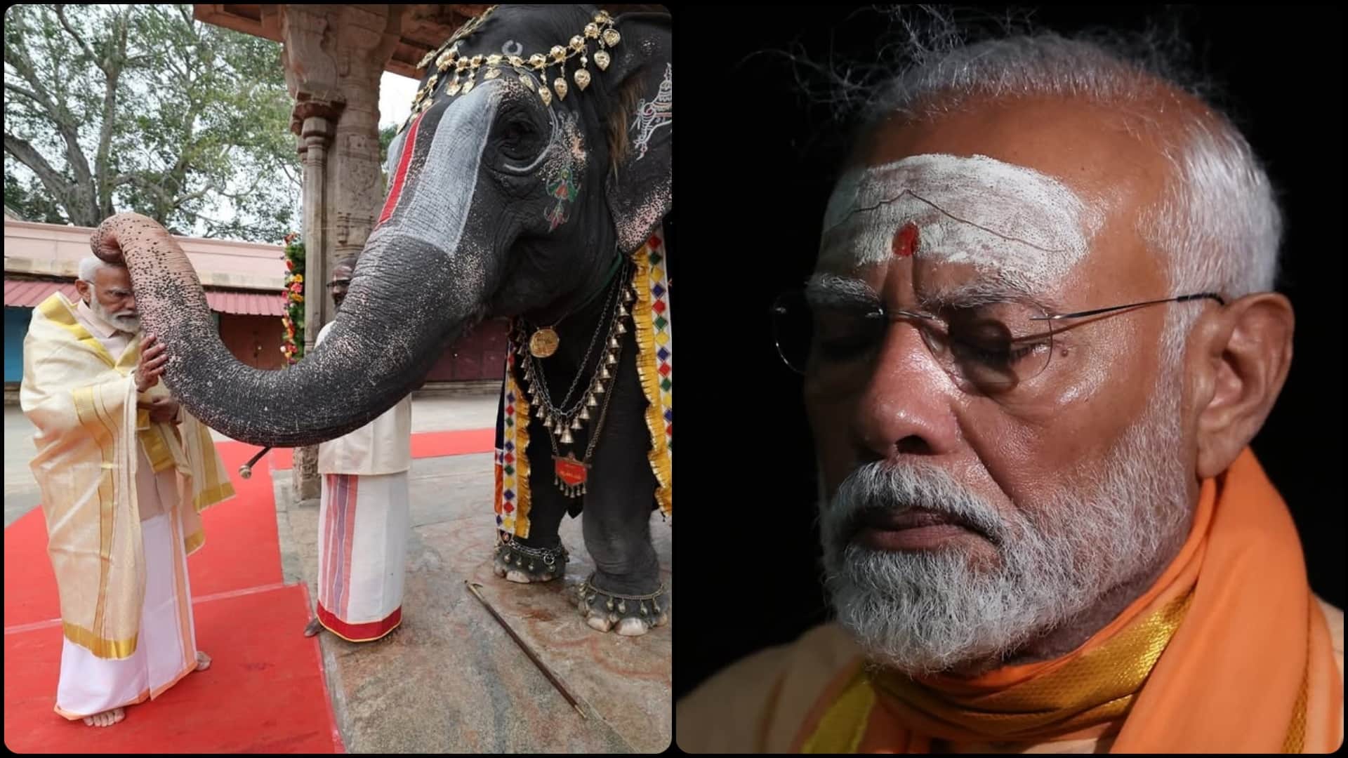 Some glimpses of the past year, May 2025 be wonderful for you! PM Modi shared amazing pictures on social media