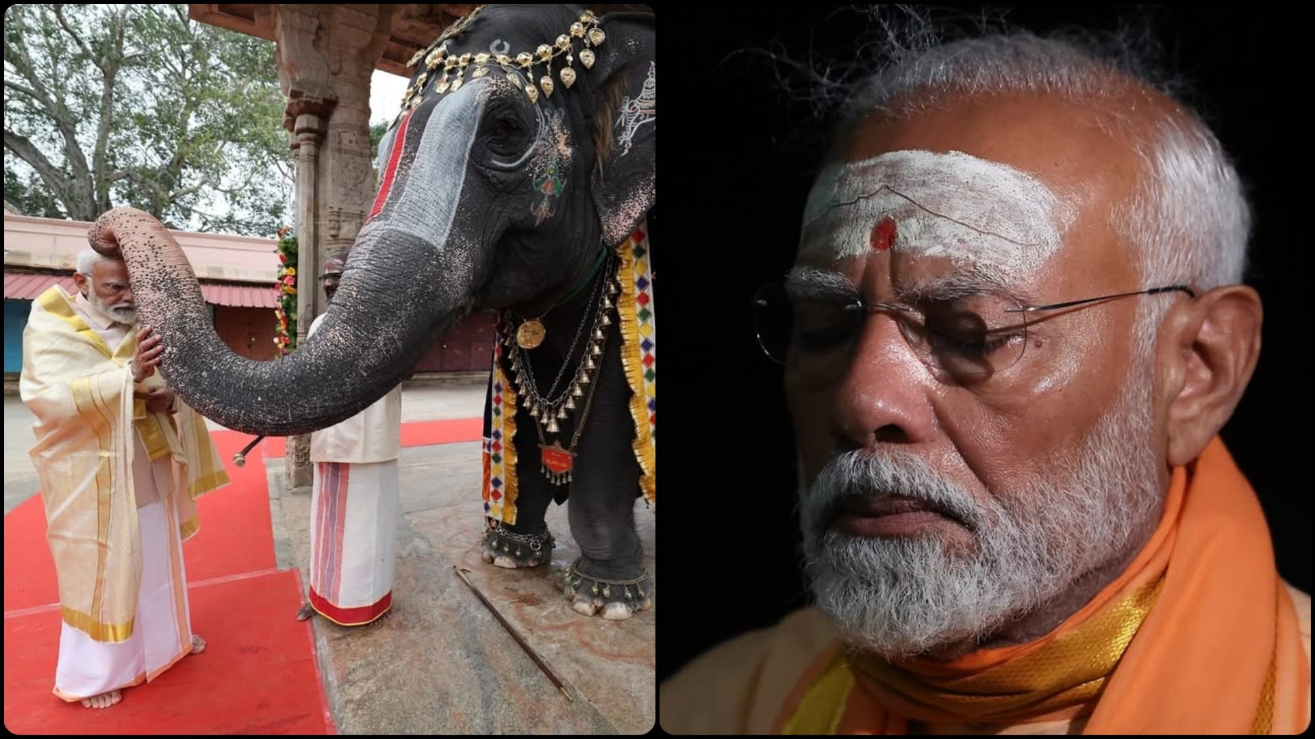Some glimpses of the past year, May 2025 be wonderful for you! PM Modi shared amazing pictures on social media