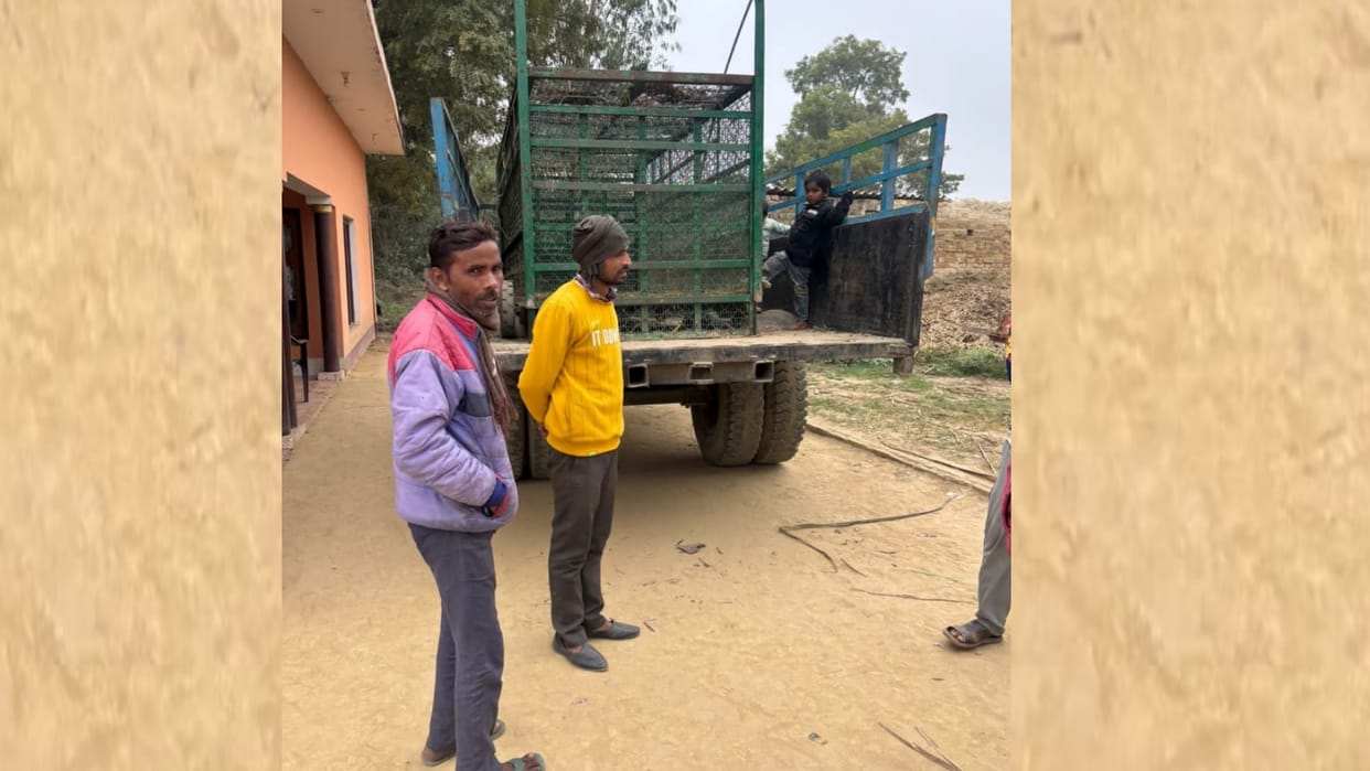 Sitapur: Forest department brings cage to catch tiger.