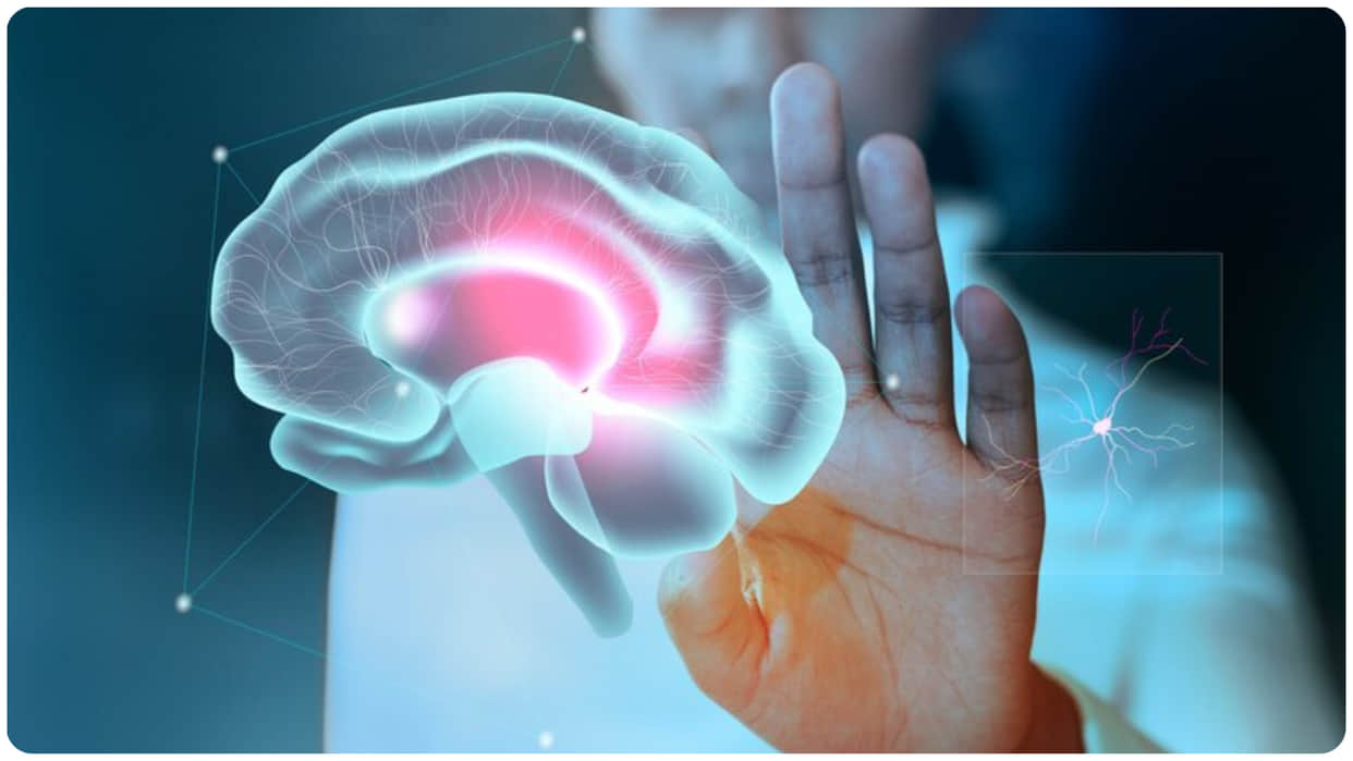 Brain Health Hacks 2025 Tips to Keep Your Brain and Mental Health Strong All Year Long