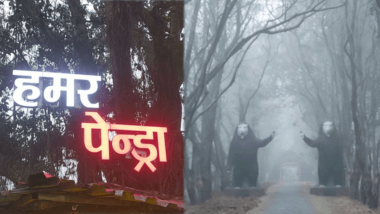 गौरेला पेंड्रा मरवाही