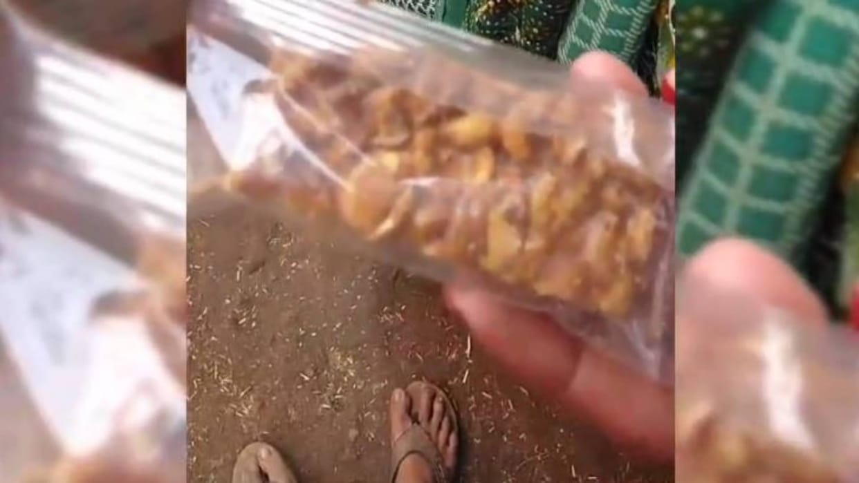 Chhatarpur Insects crawling in jaggery crust of Anganwadi video viral collector district administration silent